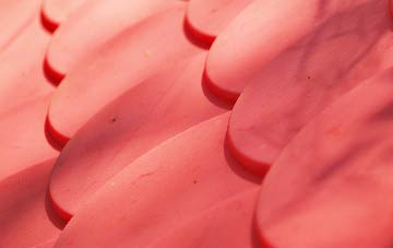 Earls Common plastic roof costs